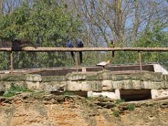 149 BIO PARC DE DOUE LA FONTAINE 6- 2016_000002